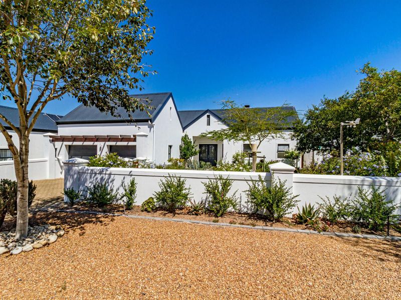 Elegant 3 bedroom home in the sought after - Croydon Olive Estate - Photo 10