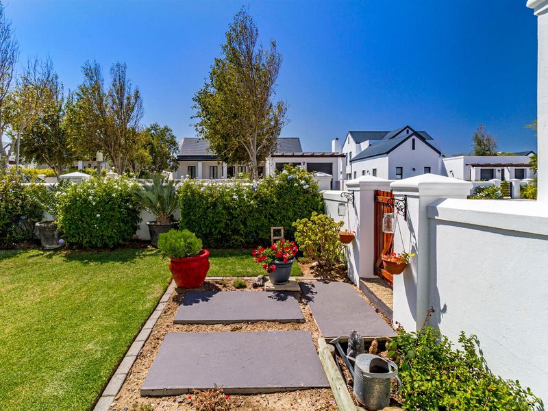 Elegant 3 bedroom home in the sought after - Croydon Olive Estate - Photo 7