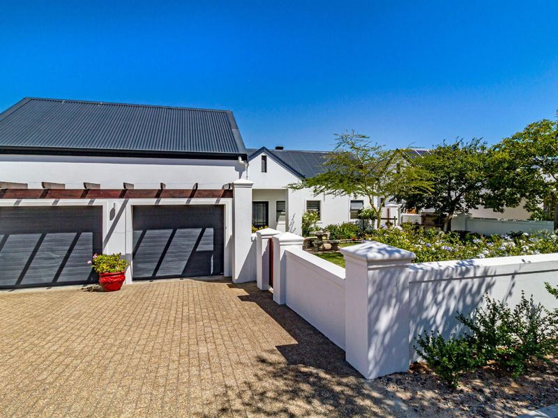 Elegant 3 bedroom home in the sought after - Croydon Olive Estate - Photo 9