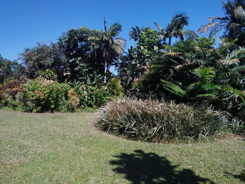 Apartment To Rent in Essenwood, Durban, KwaZulu Natal - Photo 7