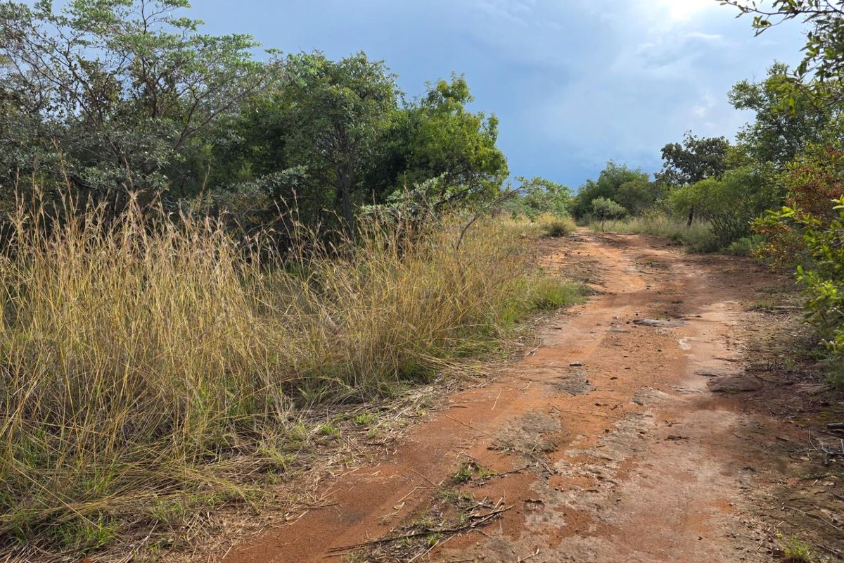 Verloren Estate - Prime North-Facing Stand with Natural Rock Features - PET FRIENDLY - Photo 5