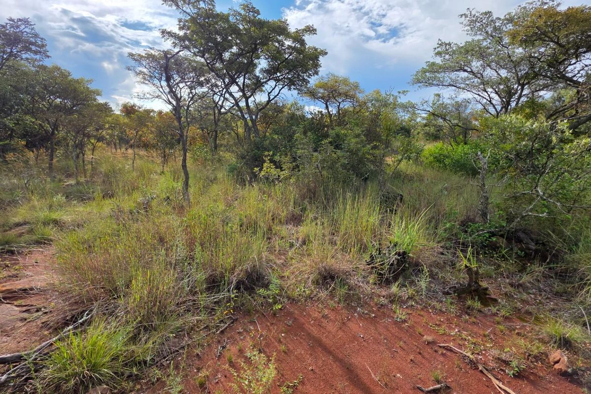 Verloren Estate - Prime North-Facing Stand with Natural Rock Features - PET FRIENDLY - Photo 3