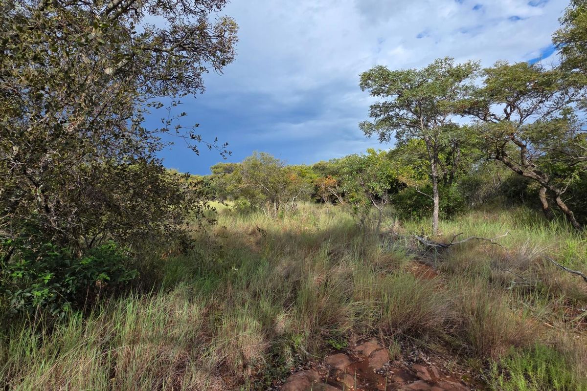 Verloren Estate - Prime North-Facing Stand with Natural Rock Features - PET FRIENDLY - Photo 2
