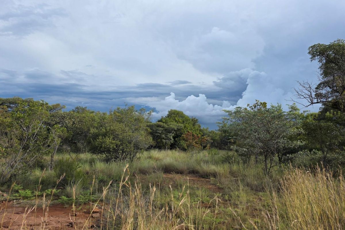 Verloren Estate - Prime North-Facing Stand with Natural Rock Features - PET FRIENDLY - Photo 4