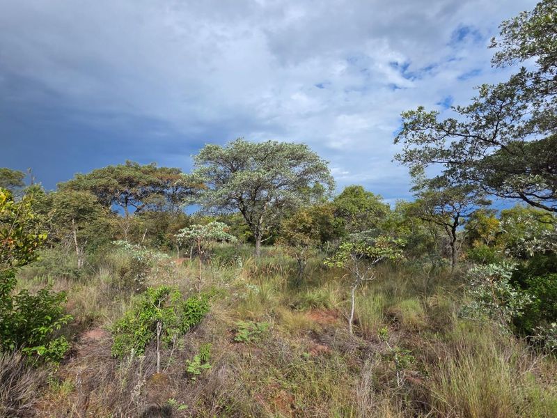 A view of the vacant residential land featuring natural vegetation, indigenous trees, and native grasses under a cloudy sky.