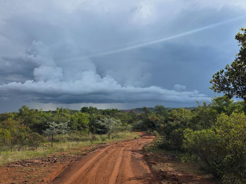 A view of a dirt access road winding through natural bushveld vegetation under a dramatic cloudy sky on a vacant residential property.