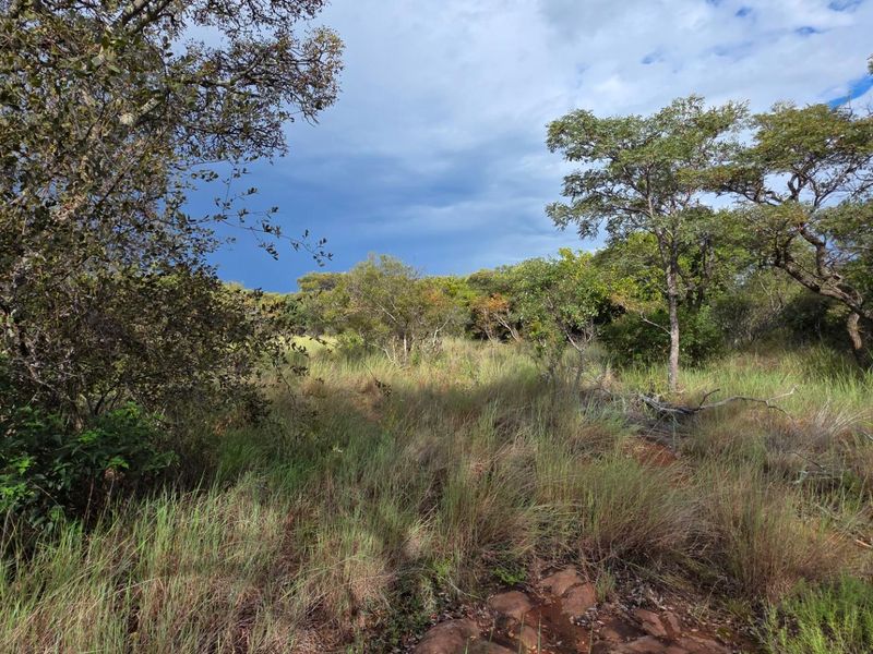 A view of the vacant residential land featuring natural vegetation, indigenous trees, and native grasses on a gently sloping terrain.