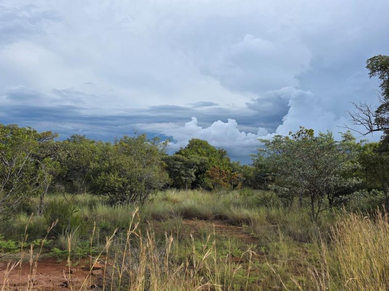 A view of the vacant residential land featuring natural bushveld vegetation and native trees under a cloudy sky.
