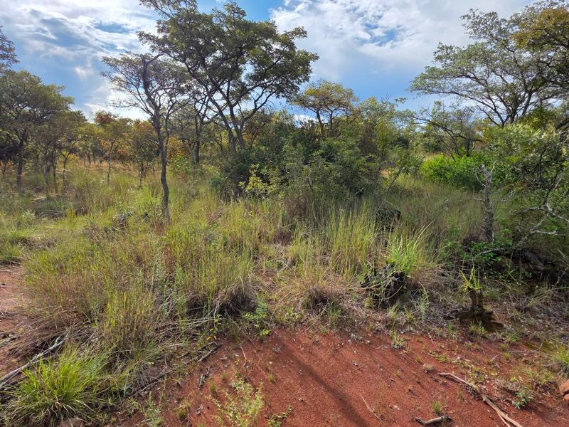 A view of the natural, undeveloped residential land featuring indigenous trees, native grasses, and exposed red soil terrain.