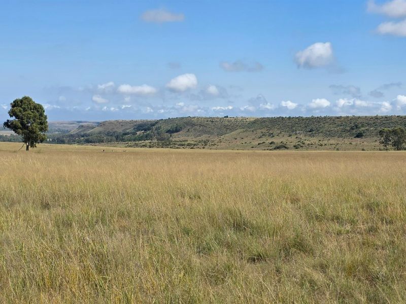 Farm For Sale in Spitskop (533) AH Bronkhorstspruit Rural Bronkhorstspruit Gauteng - Photo 3