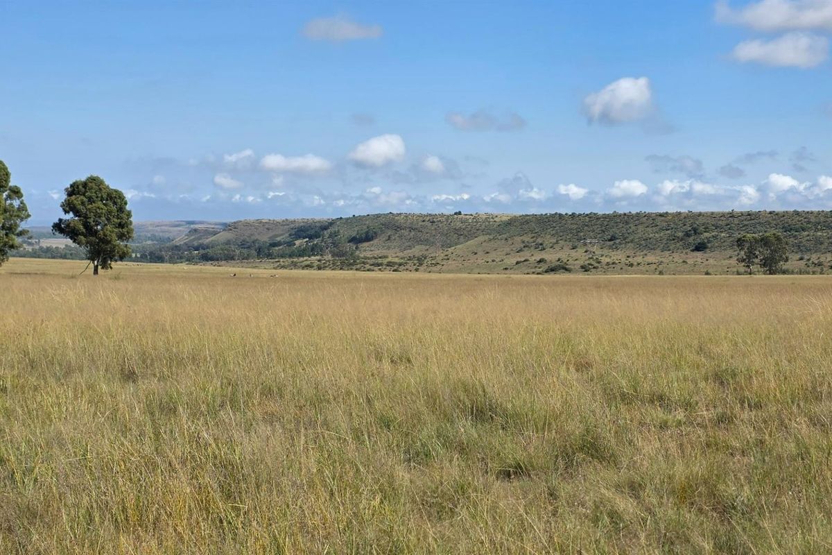 Farm For Sale in Spitskop (533) AH Bronkhorstspruit Rural Bronkhorstspruit Gauteng - Photo 3