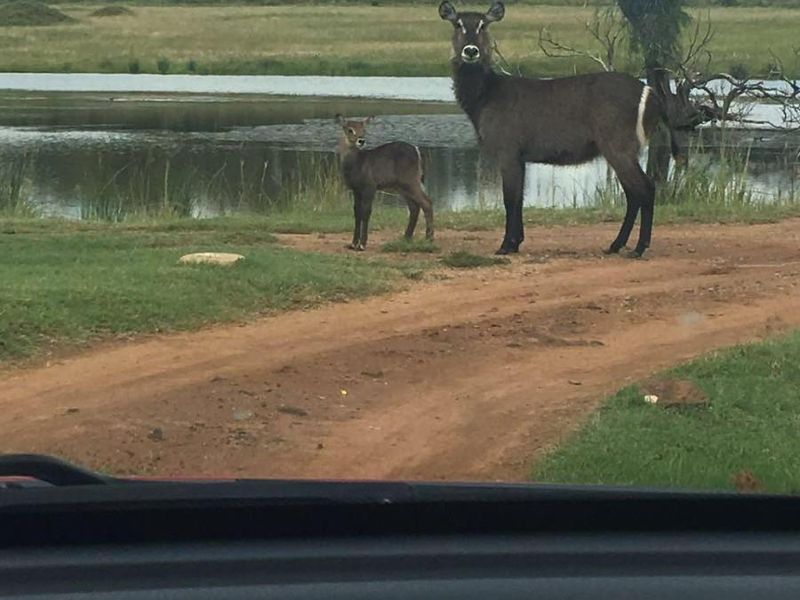 Farm For Sale in Spitskop (533) AH Bronkhorstspruit Rural Bronkhorstspruit Gauteng - Photo 4