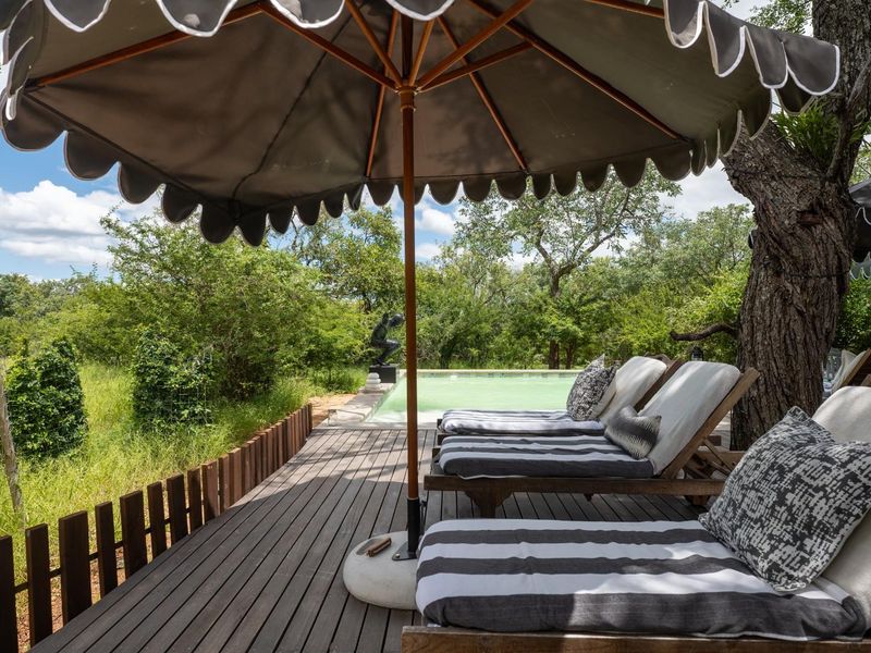 Luxury 7 Bedroom Safari Home or Boutique Lodge | Hoedspruit Wildlife Estate - Photo 6