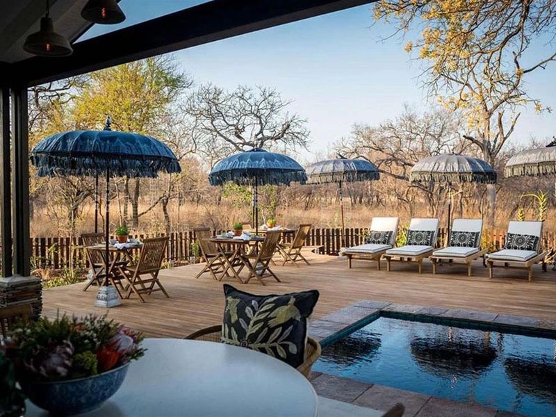 Luxury 7 Bedroom Safari Home or Boutique Lodge | Hoedspruit Wildlife Estate - Photo 2