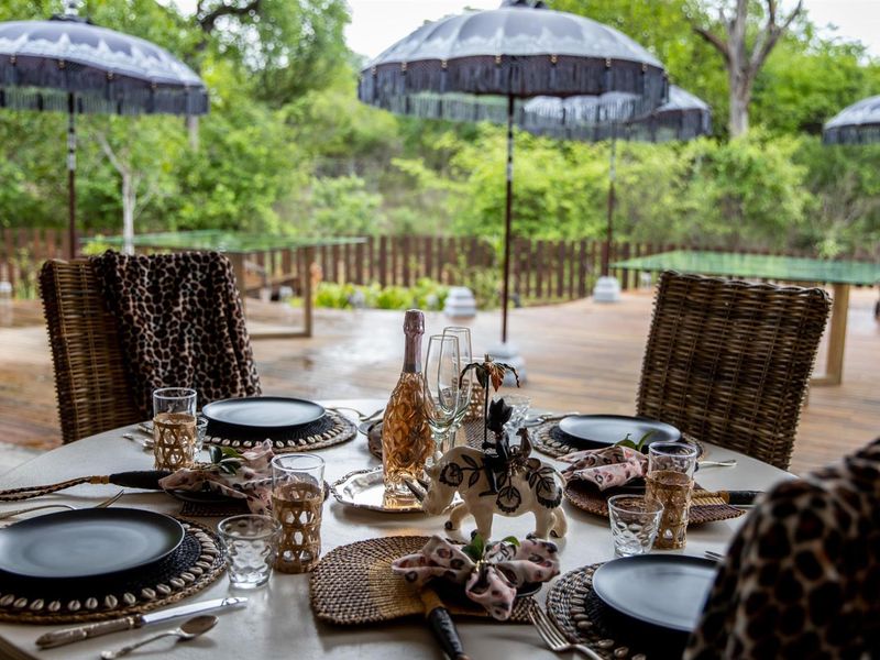 Luxury 7 Bedroom Safari Home or Boutique Lodge | Hoedspruit Wildlife Estate - Photo 4