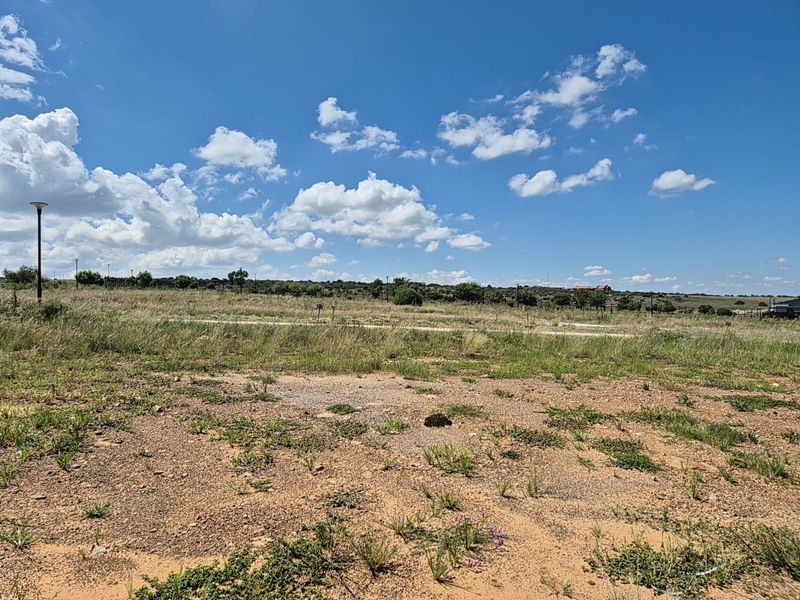 A vacant residential plot featuring natural grass and scrubland with existing street lighting infrastructure under a clear blue sky.