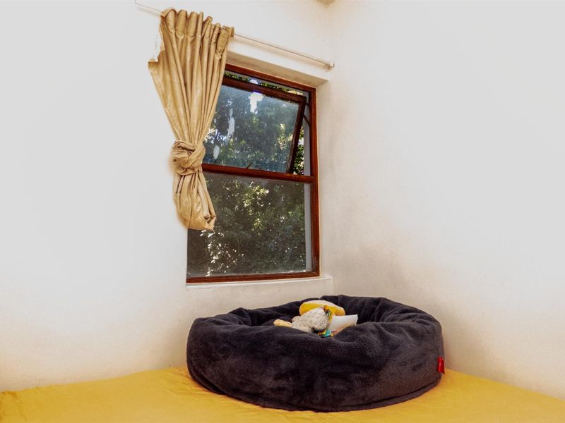 Light, Bright and Secure Living  2 Bedroom Apartment with Table Mountain Views Cape Town - Photo 8