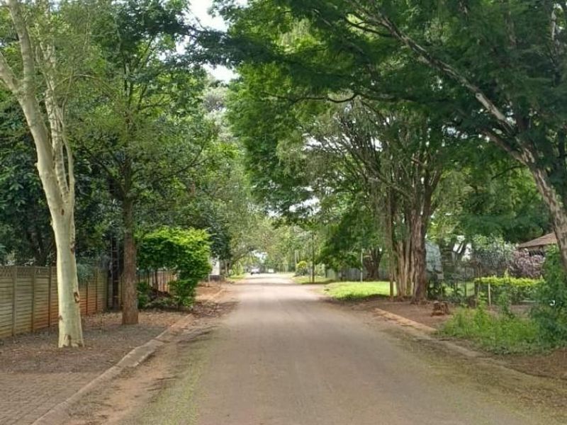 991m2 Freehold Property with Flatlet, Pool and Huge Potential - Photo 3