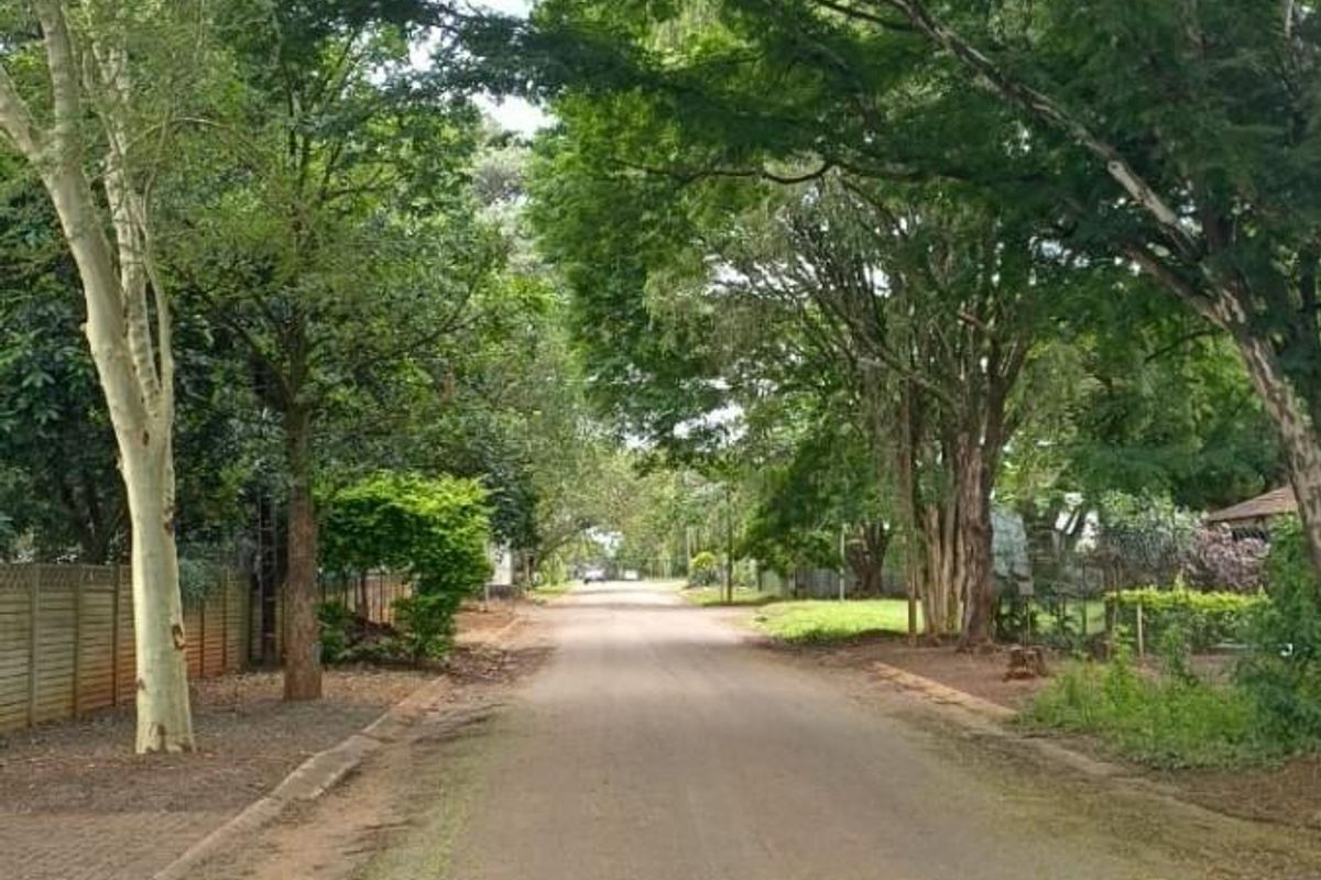 991m2 Freehold Property with Flatlet, Pool and Huge Potential - Photo 3