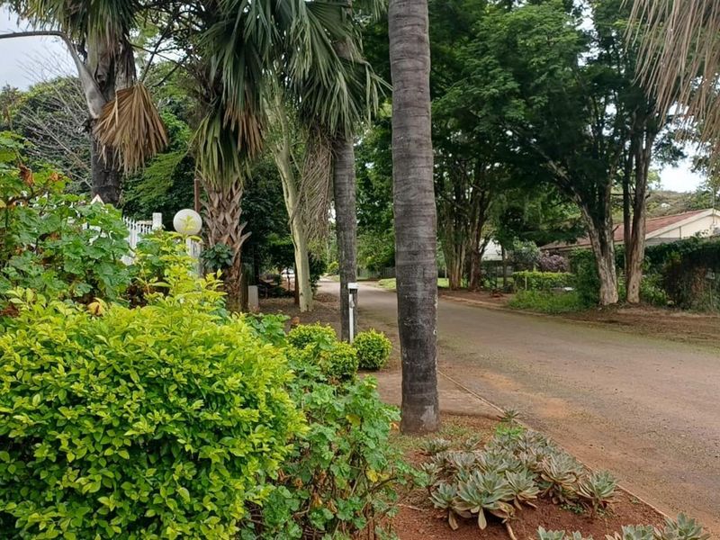 991m2 Freehold Property with Flatlet, Pool and Huge Potential - Photo 2