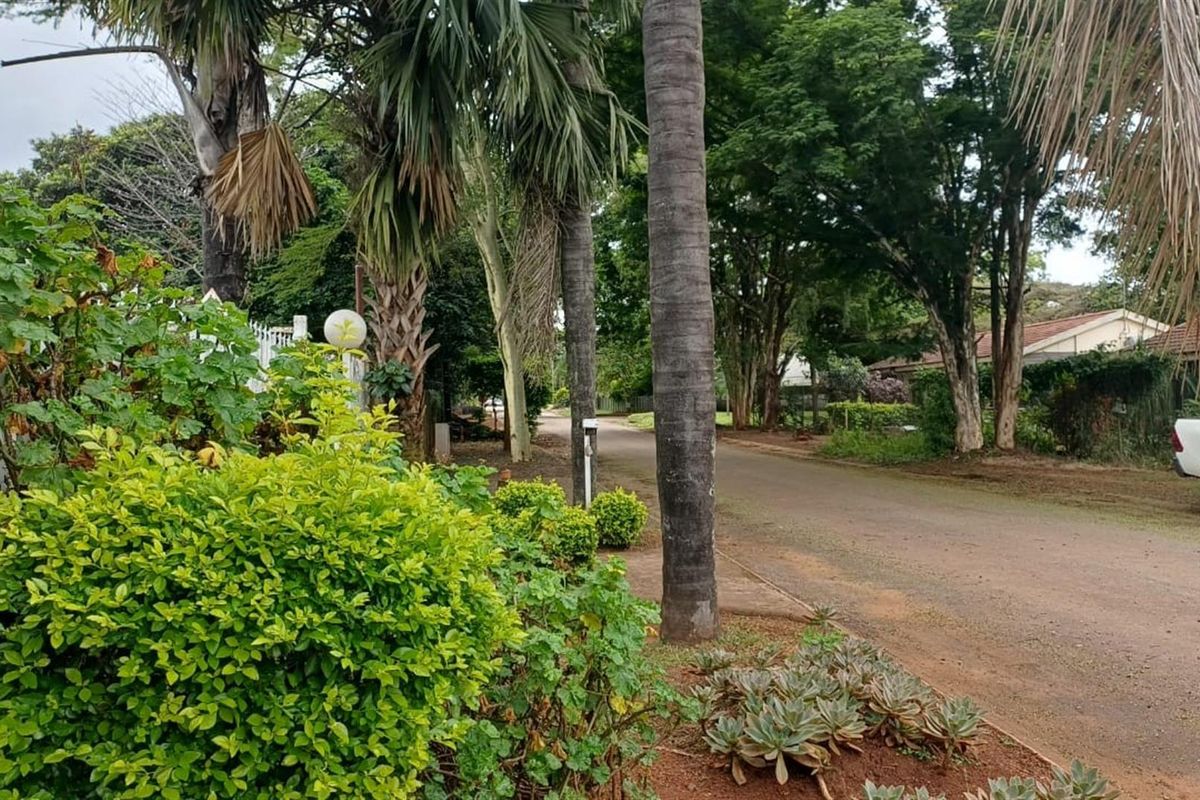 991m2 Freehold Property with Flatlet, Pool and Huge Potential - Photo 2