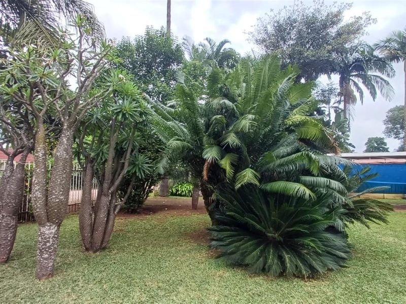 991m2 Freehold Property with Flatlet, Pool and Huge Potential - Photo 5