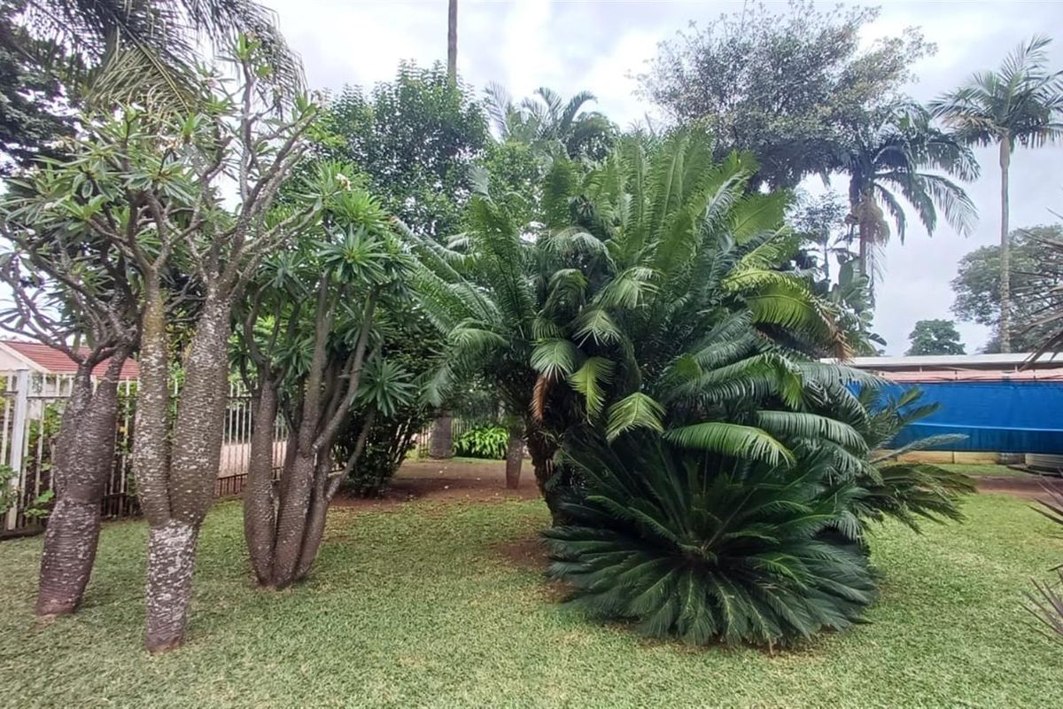 991m2 Freehold Property with Flatlet, Pool and Huge Potential - Photo 5