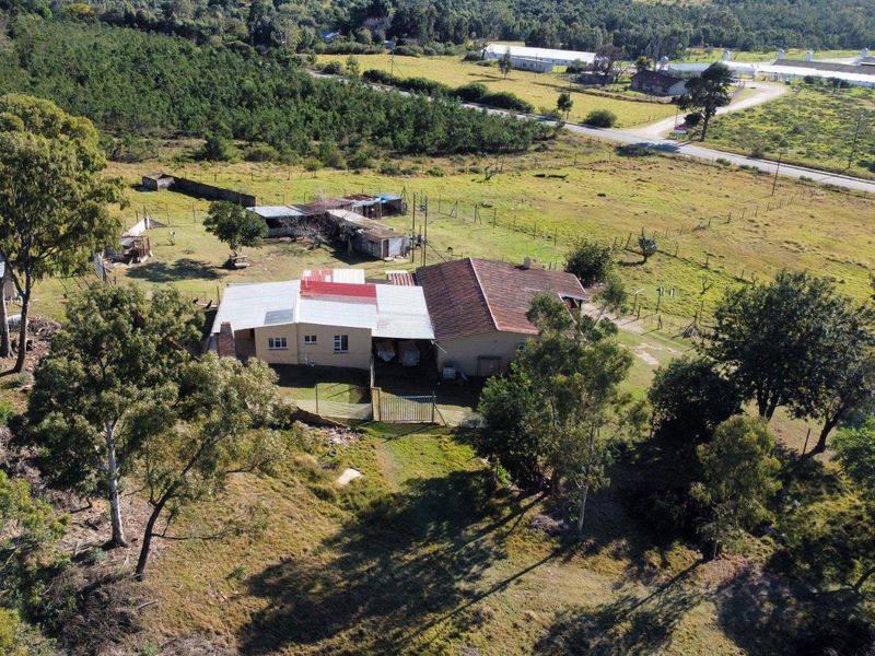 Farm For Sale in Rocklands, Cathcart - Photo 2
