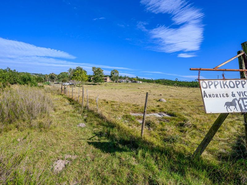 Farm For Sale in Rocklands, Cathcart - Photo 8