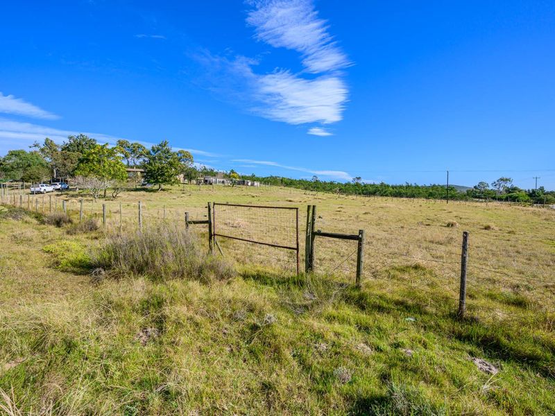 Farm For Sale in Rocklands, Cathcart - Photo 7