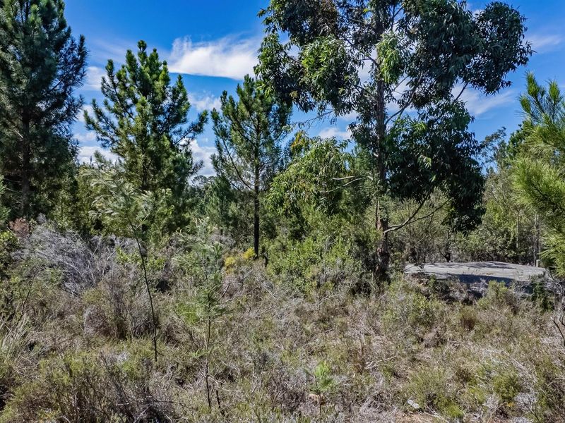 Investment opportunity, development potential - Photo 9