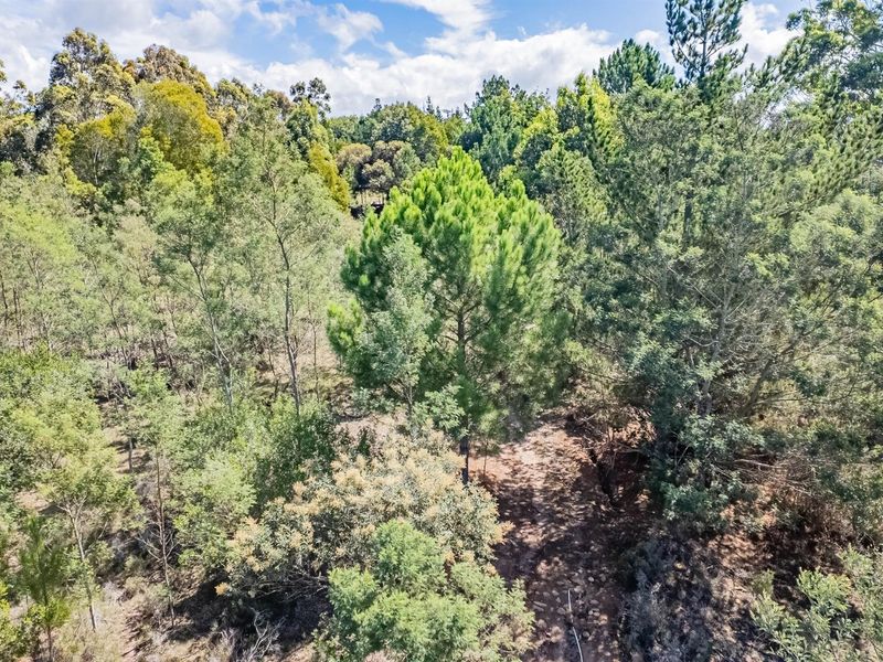 Investment opportunity, development potential - Photo 6