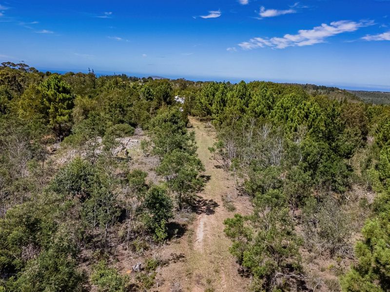 Investment opportunity, development potential - Photo 3