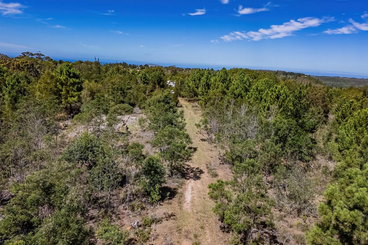 Investment opportunity, development potential - Photo 3