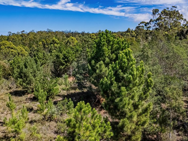 Investment opportunity, development potential - Photo 5