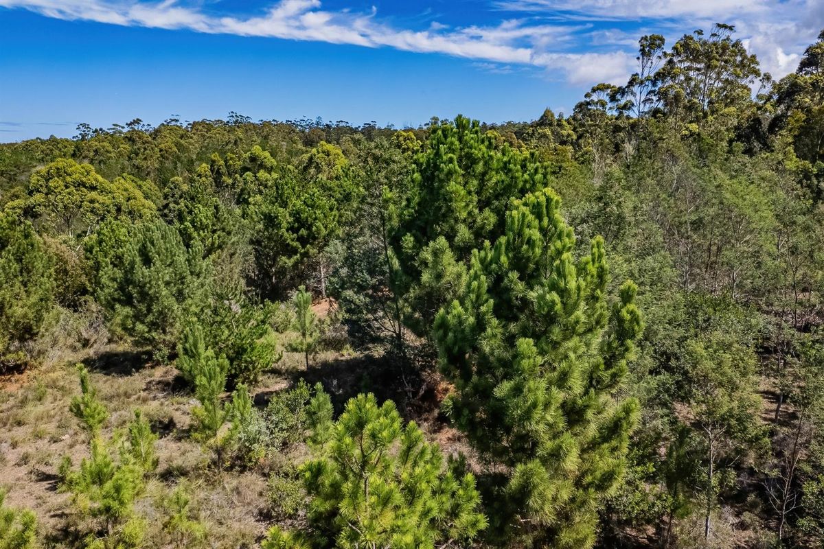 Investment opportunity, development potential - Photo 5