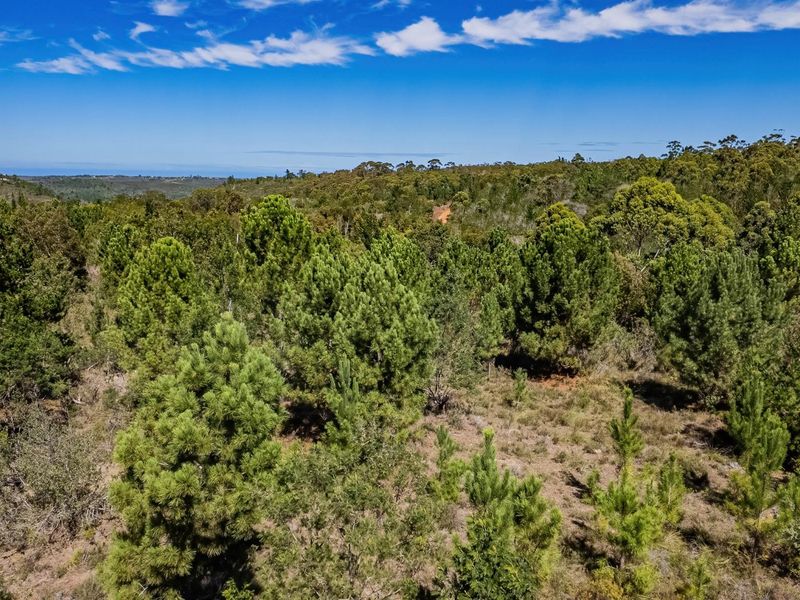 Investment opportunity, development potential - Photo 4