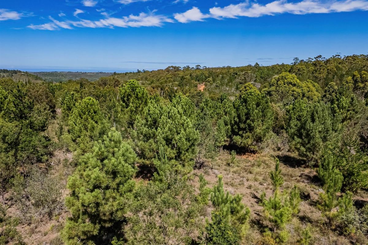 Investment opportunity, development potential - Photo 4