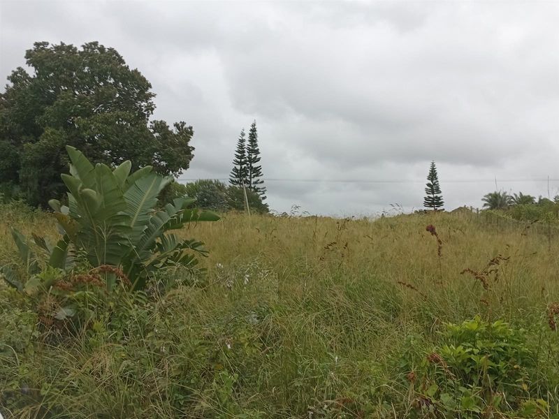 Own your slice of paradise in the heart of Leisure Bay - Photo 4