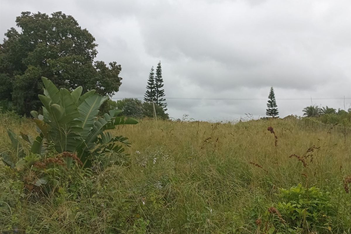 Own your slice of paradise in the heart of Leisure Bay - Photo 4