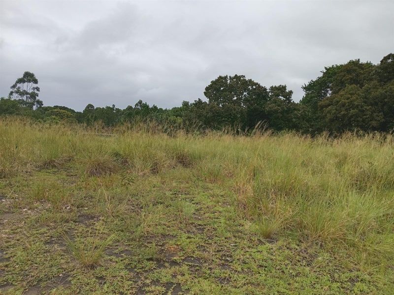 Own your slice of paradise in the heart of Leisure Bay - Photo 2