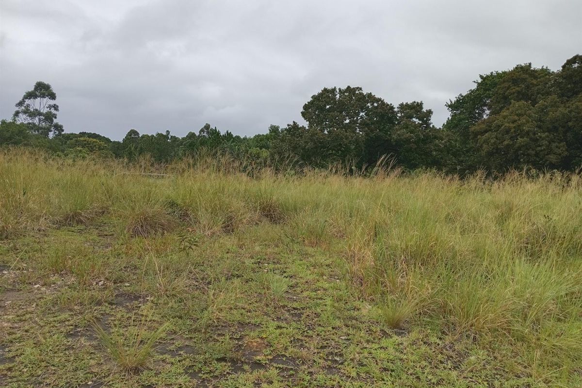 Own your slice of paradise in the heart of Leisure Bay - Photo 2