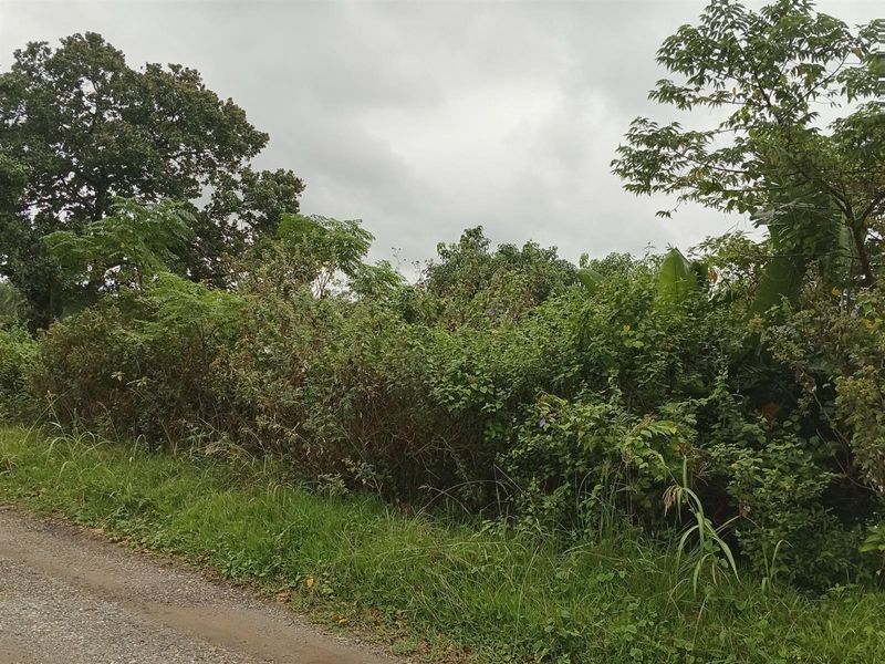 Own your slice of paradise in the heart of Leisure Bay - Photo 3