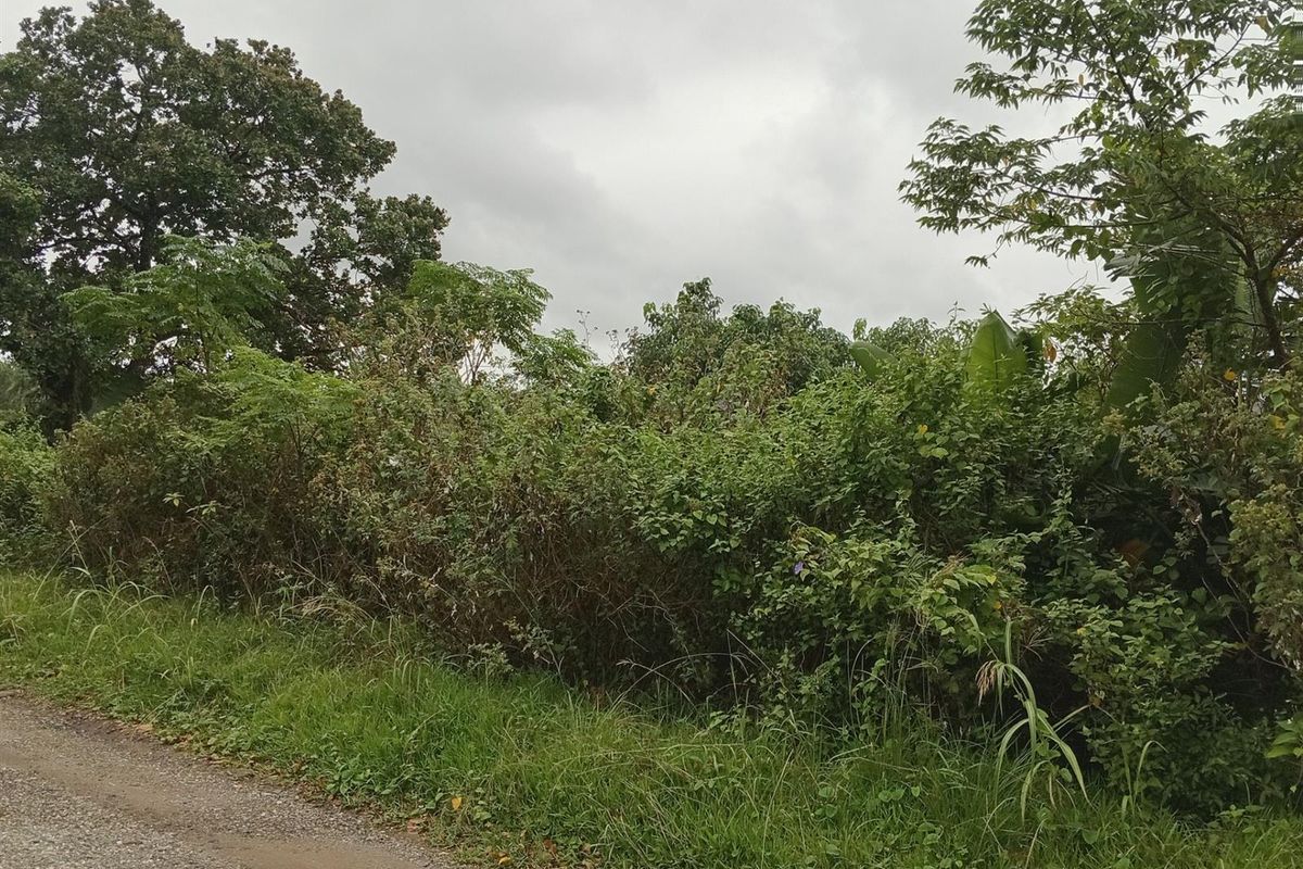 Own your slice of paradise in the heart of Leisure Bay - Photo 3