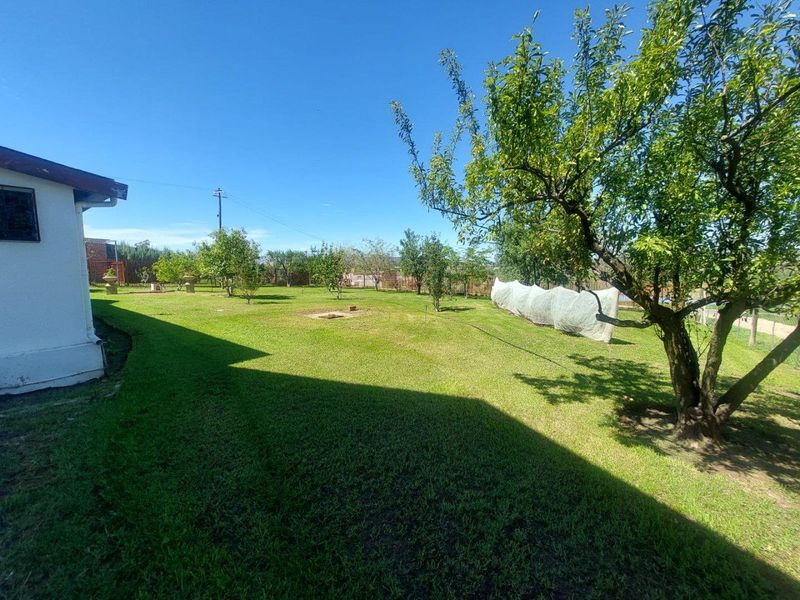 A spacious, well-maintained garden area featuring established trees and a lawn, viewed from the rear of the property.