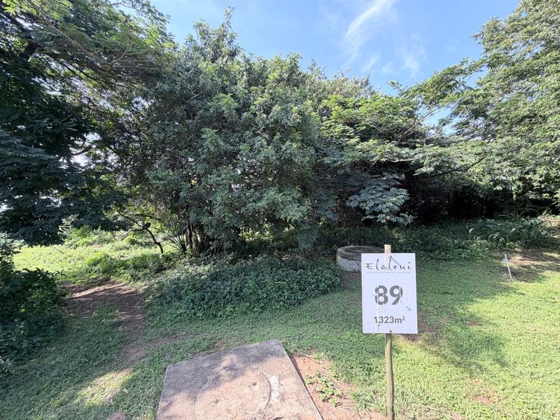 Vacant Land in Elaleni Coastal Forest Estate - Photo 1
