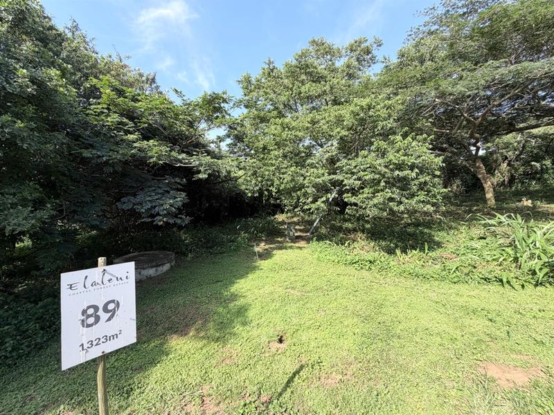 Vacant Land in Elaleni Coastal Forest Estate - Photo 8