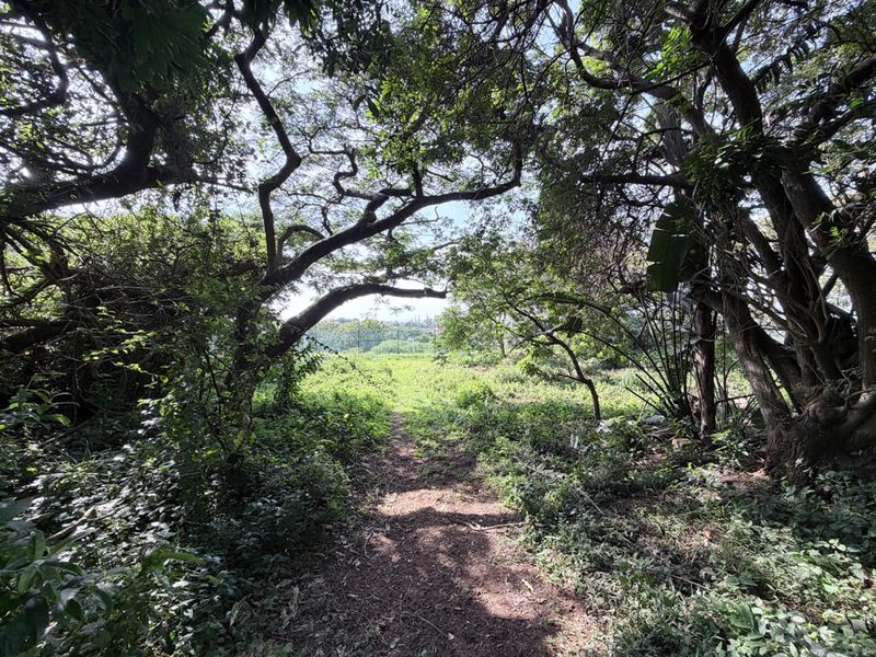 Vacant Land in Elaleni Coastal Forest Estate - Photo 6