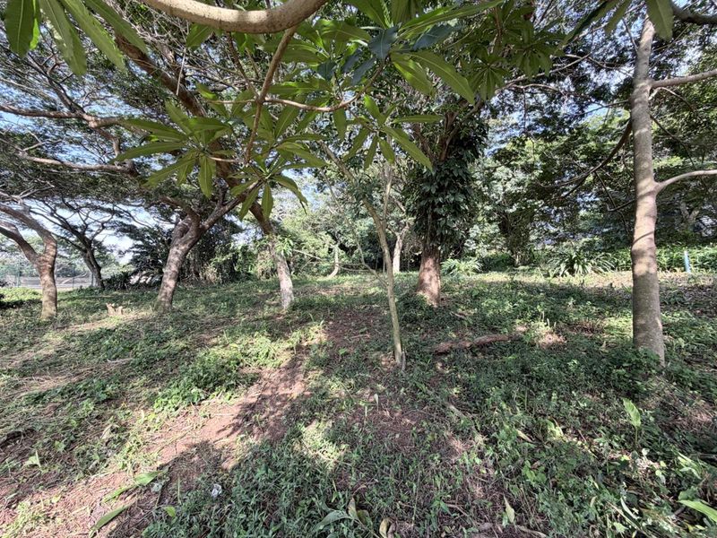Vacant Land in Elaleni Coastal Forest Estate - Photo 5