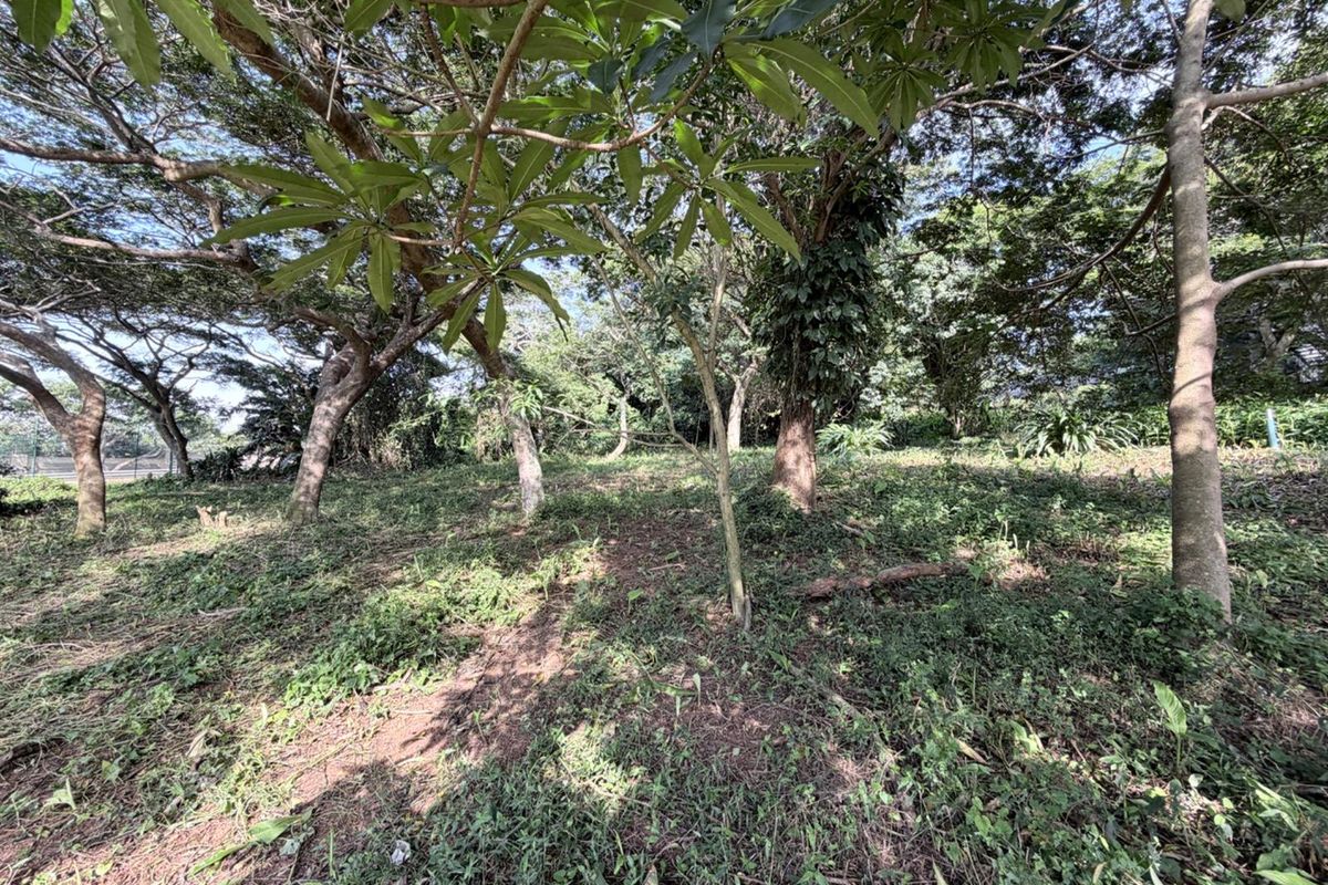 Vacant Land in Elaleni Coastal Forest Estate - Photo 5